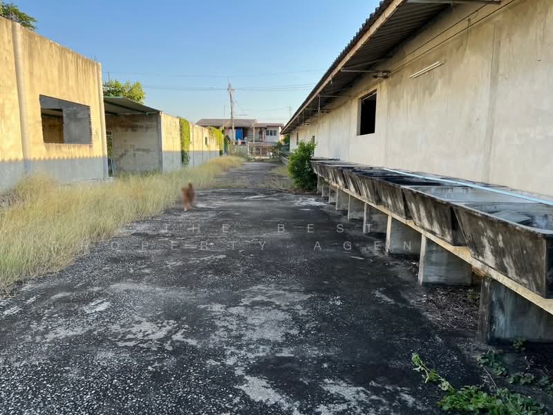 ขาย - ที่ดินกำแพงแสน นครปฐม, นครปฐม