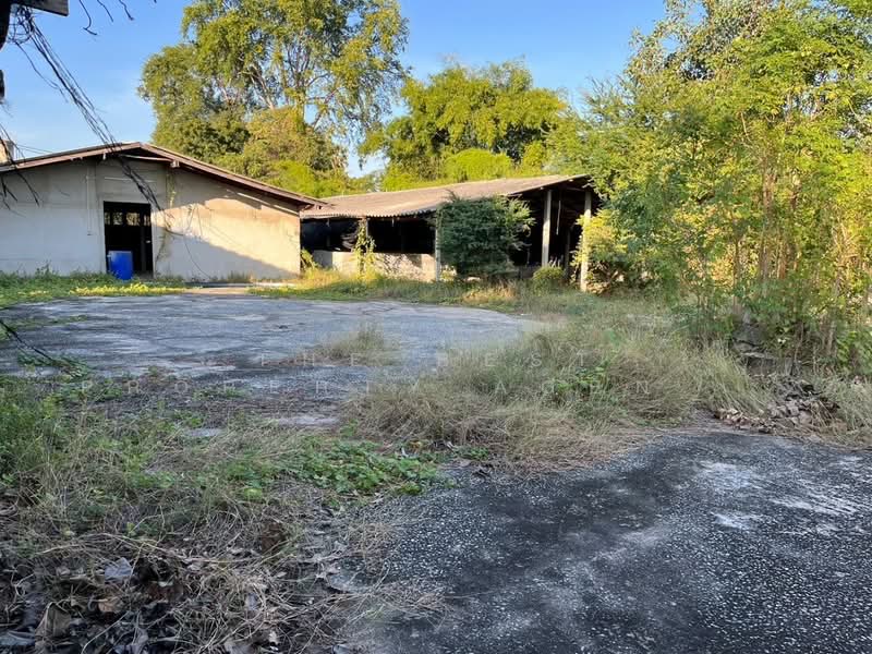 ขาย - ที่ดินกำแพงแสน นครปฐม, นครปฐม