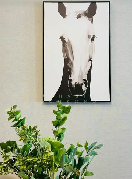 Noble Ploenchit : โนเบิล เพลินจิต, กรุงเทพ, 1035 ถนนเพลินจิต, ลุมพินี, ปทุมวัน, กรุงเทพ, 47 ตร.ม., คอนโด ขาย, โดย Suthasin Boonkong, 500182940 - DDproperty.com