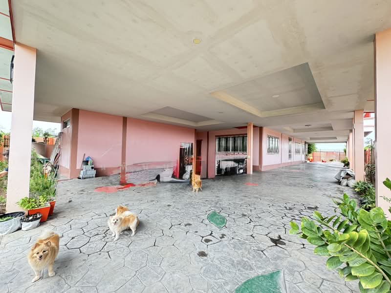 บ้านเดี่ยว 500 ตร.วา เรียบคลองบางโพธิ์เหนือ สามโคก, ปทุมธานี, เรียบคลองบางโพธิ์เหนือ, บางโพธิ์เหนือ, สามโคก, ปทุมธานี, 400 ตร.ม., บ้านเดี่ยว ขาย, โดย คุณ นพินนุช ( แอม ), 500182995 - DDproperty.com