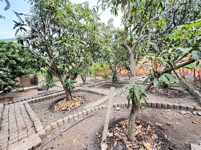 บ้านเดี่ยว 500 ตร.วา เรียบคลองบางโพธิ์เหนือ สามโคก, ปทุมธานี, เรียบคลองบางโพธิ์เหนือ, บางโพธิ์เหนือ, สามโคก, ปทุมธานี, 400 ตร.ม., บ้านเดี่ยว ขาย, โดย คุณ นพินนุช ( แอม ), 500182995 - DDproperty.com