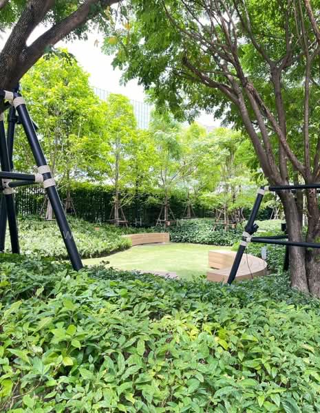 Life Rama 4-Asoke, Bangkok, Rama 4 Road, Khlong Toei, Khlong Toei, Bangkok, 1 Bedroom, 38 sqm, Condo For Rent, by Wathanyu  Withanakul, 500183038 - DDproperty.com