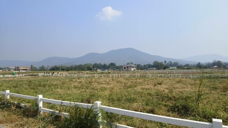 land, Nakhon Ratchasima, Wang Zai, Pak Chong, Nakhon Ratchasima, , 1,636 sqm, Land For Sale, by Anumas Hangkul, 500183054 - DDproperty.com