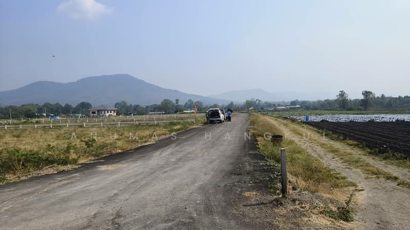 ปากช่อง, นครราชสีมา, วังไทร, ปากช่อง, นครราชสีมา, 1,636 ตร.ม., ที่ดิน ขาย, โดย Anumas Hangkul, 500183054 - DDproperty.com