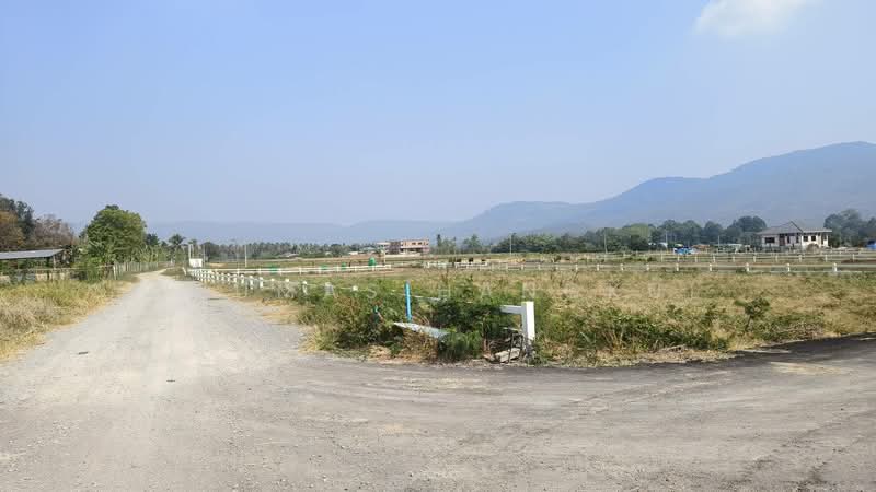 ปากช่อง, นครราชสีมา, วังไทร, ปากช่อง, นครราชสีมา, 1,636 ตร.ม., ที่ดิน ขาย, โดย Anumas Hangkul, 500183054 - DDproperty.com