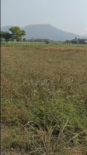 ขาย - ปากช่อง, นครราชสีมา