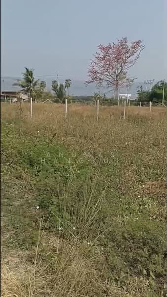 ขาย - ปากช่อง, นครราชสีมา