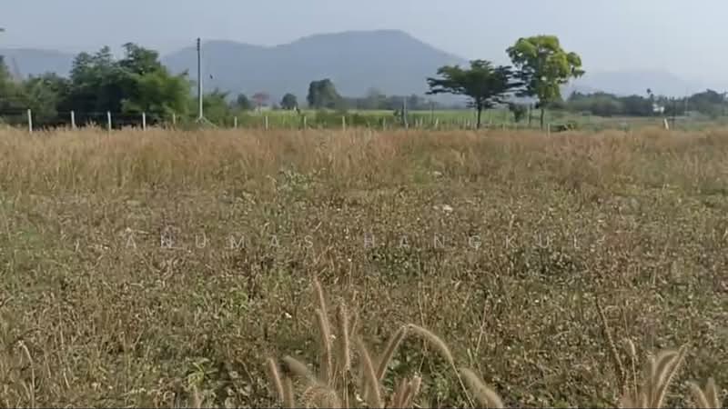 ขาย - ปากช่อง, นครราชสีมา