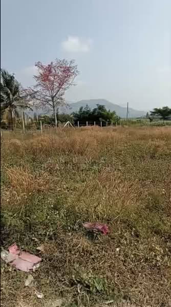 ขาย - ปากช่อง, นครราชสีมา