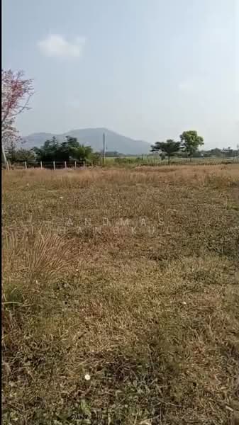Land, Nakhon Ratchasima, Wang Zai, Pak Chong, Nakhon Ratchasima, , 1,600 sqm, Land For Sale, by Anumas Hangkul, 500183102 - DDproperty.com