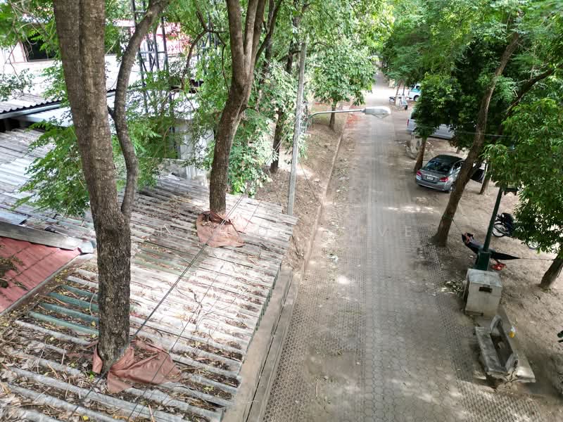 For Sale - Riverside Land on Ping River, Wat Ket – Charoenrat Area, Chiang Mai., Chiang Mai