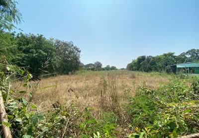 ขาย - ที่ดินนครสวรรค์ตก นครสวรรค์, นครสวรรค์