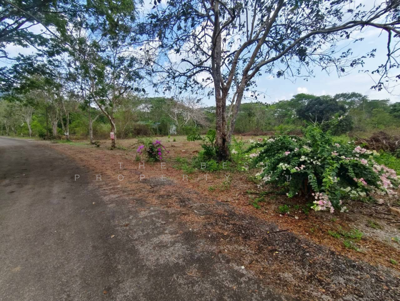 ที่ดินแก่งหางแมว จันทบุรี, จันทบุรี, เขาวงกต, แก่งหางแมว, จันทบุรี, 1,900 ตร.ม., ที่ดิน ขาย, โดย The Best Property หยก, 500183164 - DDproperty.com