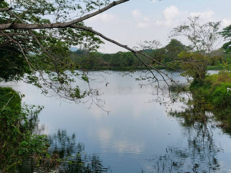 ที่ดินแก่งหางแมว จันทบุรี, Chanthaburi, Khao Wongkot, Kaeng Hang Maeo, Chanthaburi, , 1,900 sqm, Land For Sale, by The Best Property หยก, 500183164 - DDproperty.com