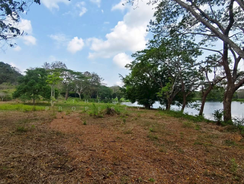 ที่ดินแก่งหางแมว จันทบุรี, Chanthaburi, Khao Wongkot, Kaeng Hang Maeo, Chanthaburi, , 1,900 sqm, Land For Sale, by The Best Property หยก, 500183164 - DDproperty.com