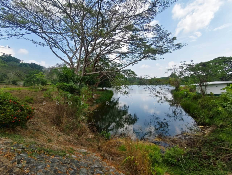 ที่ดินแก่งหางแมว จันทบุรี, จันทบุรี, เขาวงกต, แก่งหางแมว, จันทบุรี, 1,900 ตร.ม., ที่ดิน ขาย, โดย The Best Property หยก, 500183164 - DDproperty.com
