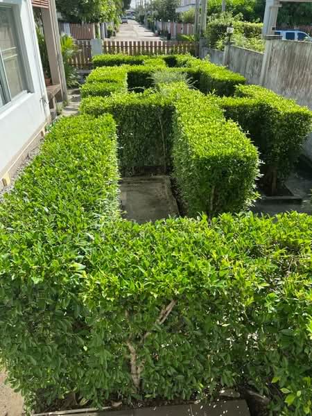 Baan Klang Suan, Chon Buri (Pattaya), Sukhumvit Road, Ta Khian Tia, Bang Lamung (Pattaya), Chon Buri (Pattaya), 3 Bedrooms, 203 sqm, Single Detached House For Sale, by Supicha Chorjong, 500183167 - DDproperty.com