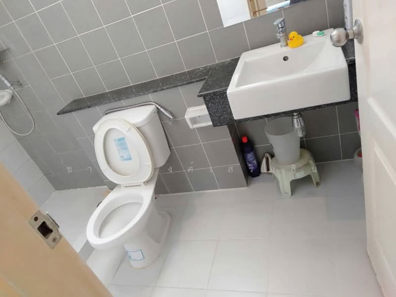 Areeya The Color 1, Bangkok, Lat Pla Khao Road, Chorake Bua, Lat Phrao, Bangkok, 3 Bedrooms, 200 sqm, Townhouse For Rent, by Charlie wongsermsin, 500183185 - DDproperty.com