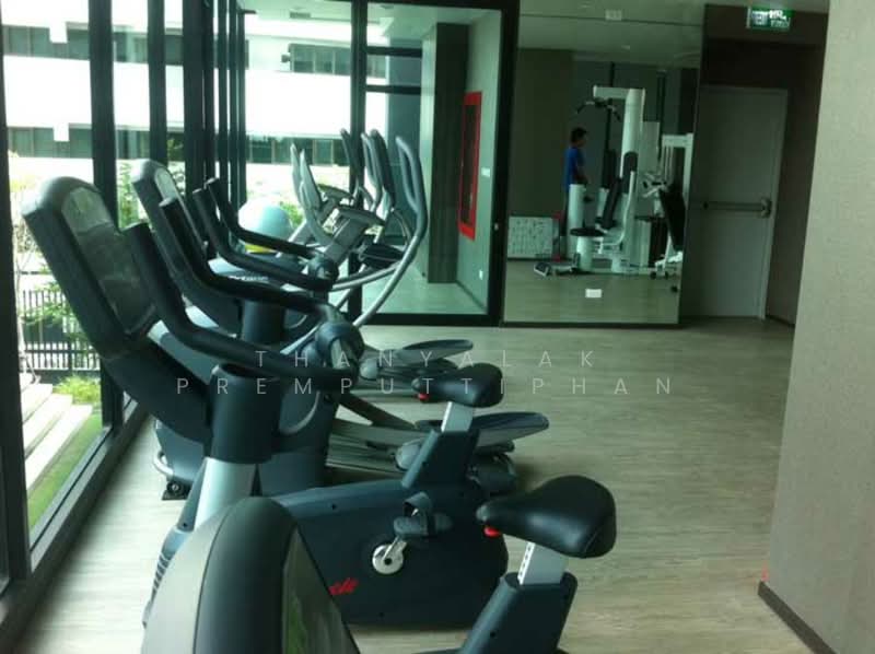 The Capital Ekamai-Thonglor, Bangkok, 2898 New Petchaburi Rd, Bang Kapi, Huai Khwang, Bangkok, 3 Bedrooms, 180 sqm, Condo For Rent, by Thanyalak Premputtiphan, 500183217 - DDproperty.com