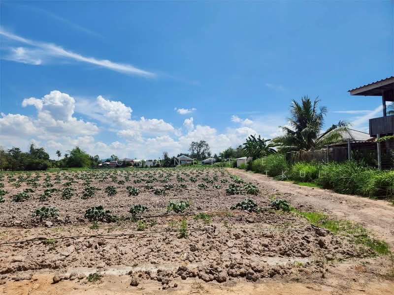 ขายที่ดิน 7-1-5 ไร่ ถนนภุมริน ซอย3 ต.ตะเคียนเตี้ย อ.บางละมุง จ.ชลบุรี, ชลบุรี, ตะเคียนเตี้ย, บางละมุง, ชลบุรี, 11,620 ตร.ม., ที่ดิน ขาย, โดย Chanettee Chongphichetkul, 500183391 - DDproperty.com