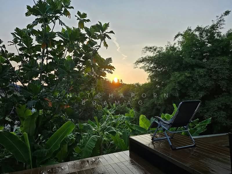 Baan Klang Muang Ladprao 87, Bangkok, Soi Ladprao 87, Khlong Chaokhun Sing, Wang Thonglang, Bangkok, 3 Bedrooms, 204 sqm, Townhouse For Sale, by Phitchaporn Buamag, 500183433 - DDproperty.com