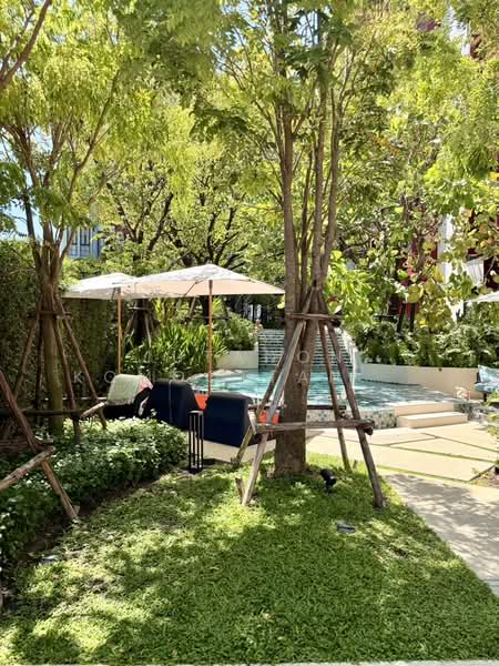 The Base Bukit Phuket, Phuket, 12 Vichitsongkram Rd, Wichit, Muang Phuket, Phuket, 1 Bedroom, 30 sqm, Condo For Rent, by Jutanon Komoottanaruk, 500183509 - DDproperty.com