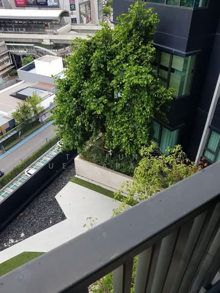 Life Ladprao, Bangkok, 992 Ladprao Road, Jom Phon, Chatuchak, Bangkok, 1 Bedroom, 29 sqm, Condo For Rent, by Tayfun  Suebsarakham , 500183586 - DDproperty.com