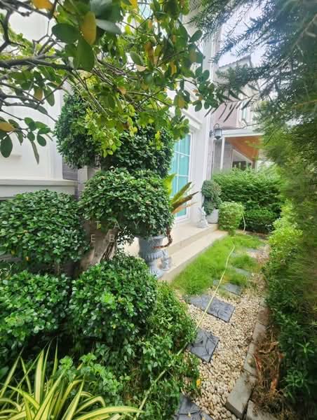 Golden Neo Bangna-Suan Luang, Bangkok, Bangna-Trad Road + Expressway, Dok Mai, Prawet, Bangkok, 4 Bedrooms, 151 sqm, Single Detached House For Rent, by Tayfun  Suebsarakham , 500183665 - DDproperty.com