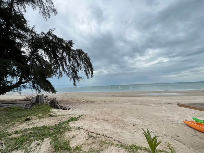 ขาย - หาดขนอม อำเภอขนอม จังหวัดนครศรีธรรมราช, นครศรีธรรมราช