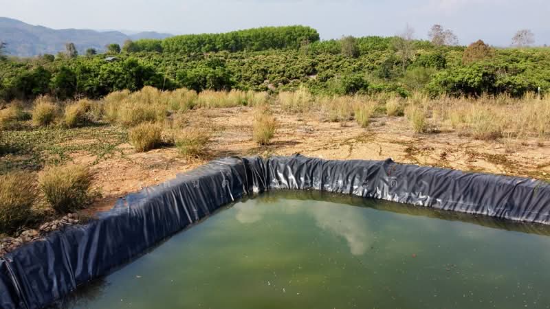 ที่ดิน น่าน อ.เชียงกลาง เป็นเนินเขาสวนลำใย 7ไร่1 งาน (1.4ล้าน), Nan, 1080, Chiang Khan, Chiang Klang, Nan, , 11,600 sqm, Land For Sale, by Wasan Wasati, 500183840 - DDproperty.com