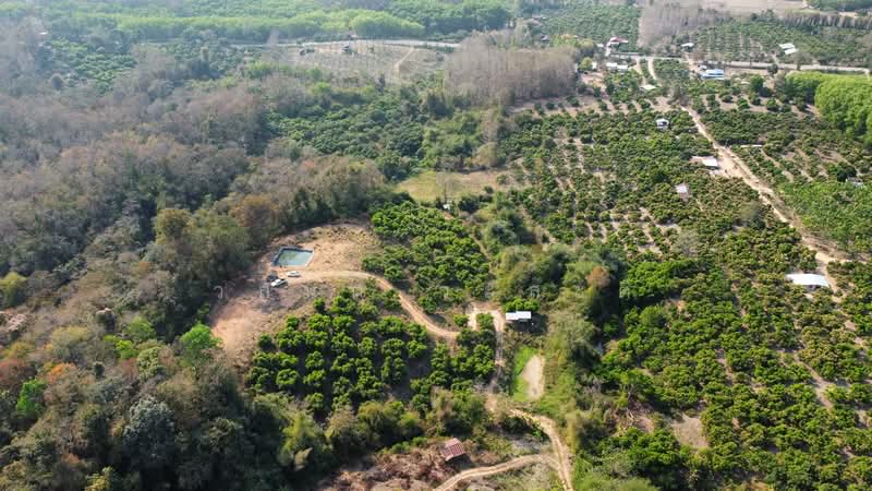 ขาย - ที่ดิน น่าน อ.เชียงกลาง เป็นเนินเขาสวนลำใย 7ไร่1 งาน (1.4ล้าน), น่าน