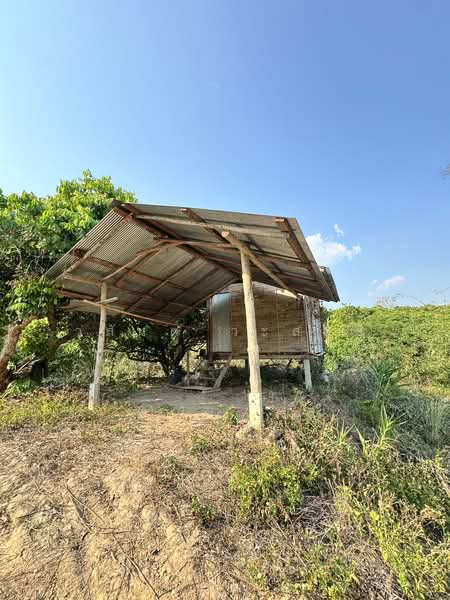 ขาย - ที่ดิน น่าน อ.เชียงกลาง เป็นเนินเขาสวนลำใย 7ไร่1 งาน (1.4ล้าน), น่าน