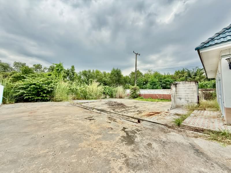 บ้านเดี่ยวพร้อมที่ดินบางหญ้าแพรก สมุทรสาคร, สมุทรสาคร, บางหญ้าแพรก, เมืองสมุทรสาคร, สมุทรสาคร, 150 ตร.ม., บ้านเดี่ยว ขาย, โดย The Best Property ดาด้า, 500183862 - DDproperty.com