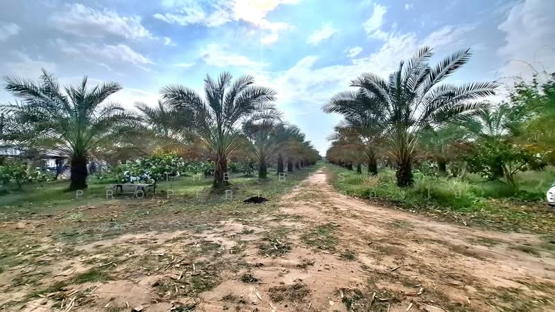 บ้านเดี่ยวพร้อมที่ดินโนนตาล ร้อยเอ็ด, Roi Et, Non Tan, Muang Roi Et, Roi Et, 3 Bedrooms, 150 sqm, Single Detached House For Sale, by The Best Property ทองใบ, 500183897 - DDproperty.com