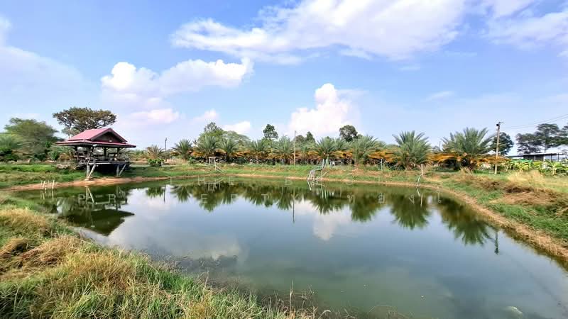 บ้านเดี่ยวพร้อมที่ดินโนนตาล ร้อยเอ็ด, Roi Et, Non Tan, Muang Roi Et, Roi Et, 3 Bedrooms, 150 sqm, Single Detached House For Sale, by The Best Property ทองใบ, 500183897 - DDproperty.com