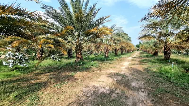 บ้านเดี่ยวพร้อมที่ดินโนนตาล ร้อยเอ็ด, Roi Et, Non Tan, Muang Roi Et, Roi Et, 3 Bedrooms, 150 sqm, Single Detached House For Sale, by The Best Property ทองใบ, 500183897 - DDproperty.com