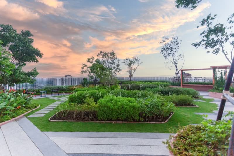 The Base Height-Chiang Mai, Chiang Mai, Wat Khet, Muang Chiang Mai, Chiang Mai, 1 Bedroom, 34 sqm, Condo For Rent, by Kanphakpim Chiangmai Nice Home, 500183920 - DDproperty.com