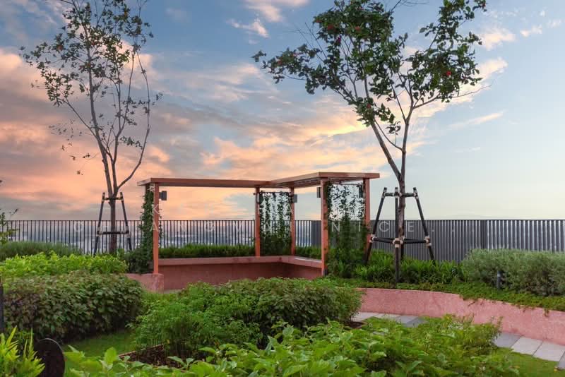 The Base Height-Chiang Mai : เดอะ เบส ไฮท์-เชียงใหม่, เชียงใหม่, วัดเกต, เมืองเชียงใหม่, เชียงใหม่, 34 ตร.ม., คอนโด ให้เช่า, โดย Kanphakpim Chiangmai Nice Home, 500183920 - DDproperty.com