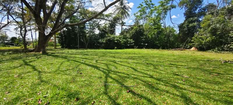 For Sale - ที่ดินจุฬาภรณ์ นครศรีธรรมราช, Nakhon Si Thammarat