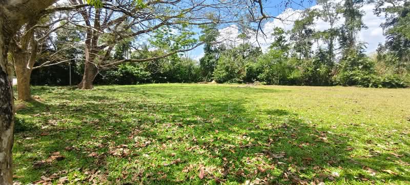 For Sale - ที่ดินจุฬาภรณ์ นครศรีธรรมราช, Nakhon Si Thammarat