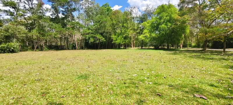 For Sale - ที่ดินจุฬาภรณ์ นครศรีธรรมราช, Nakhon Si Thammarat