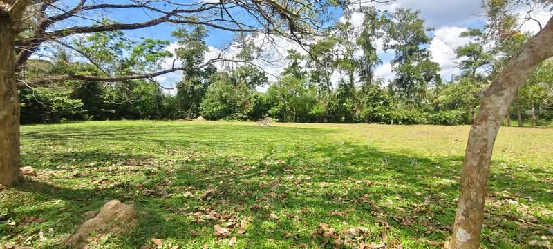 For Sale - ที่ดินจุฬาภรณ์ นครศรีธรรมราช, Nakhon Si Thammarat