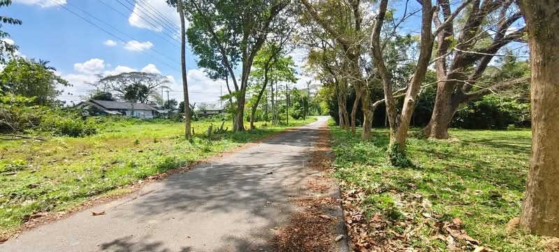 For Sale - ที่ดินจุฬาภรณ์ นครศรีธรรมราช, Nakhon Si Thammarat