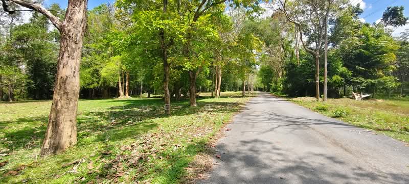 ขาย - ที่ดินจุฬาภรณ์ นครศรีธรรมราช, นครศรีธรรมราช