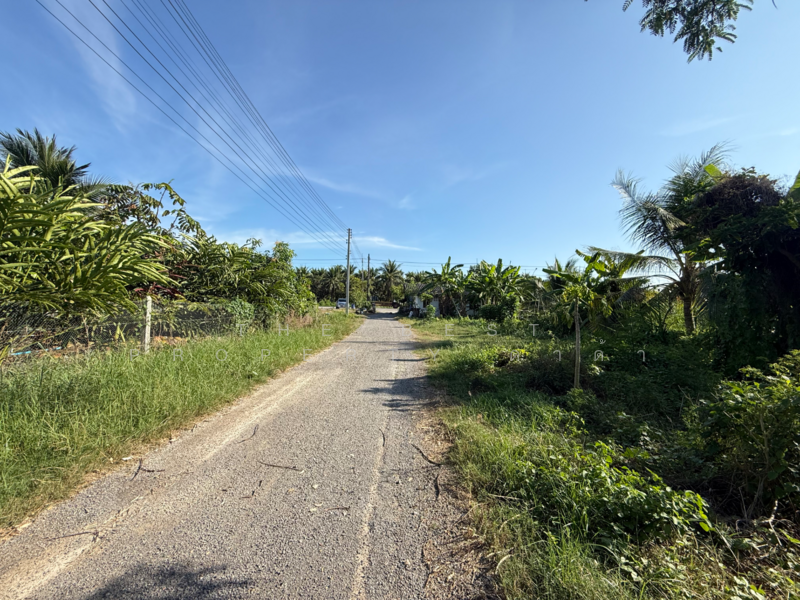 บ้านเดี่ยวพร้อมที่ดินบ้านแพ้ว สมุทรสาคร, สมุทรสาคร, หนองบัว, บ้านแพ้ว, สมุทรสาคร, 100 ตร.ม., บ้านเดี่ยว ขาย, โดย The Best Property ดาด้า, 500183935 - DDproperty.com