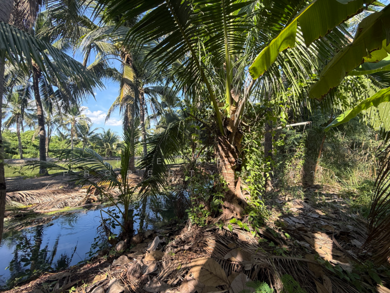 บ้านเดี่ยวพร้อมที่ดินบ้านแพ้ว สมุทรสาคร, Samut Sakhon, Nong Bua, Ban Phaeo, Samut Sakhon, 4 Bedrooms, 100 sqm, Single Detached House For Sale, by The Best Property ดาด้า, 500183935 - DDproperty.com