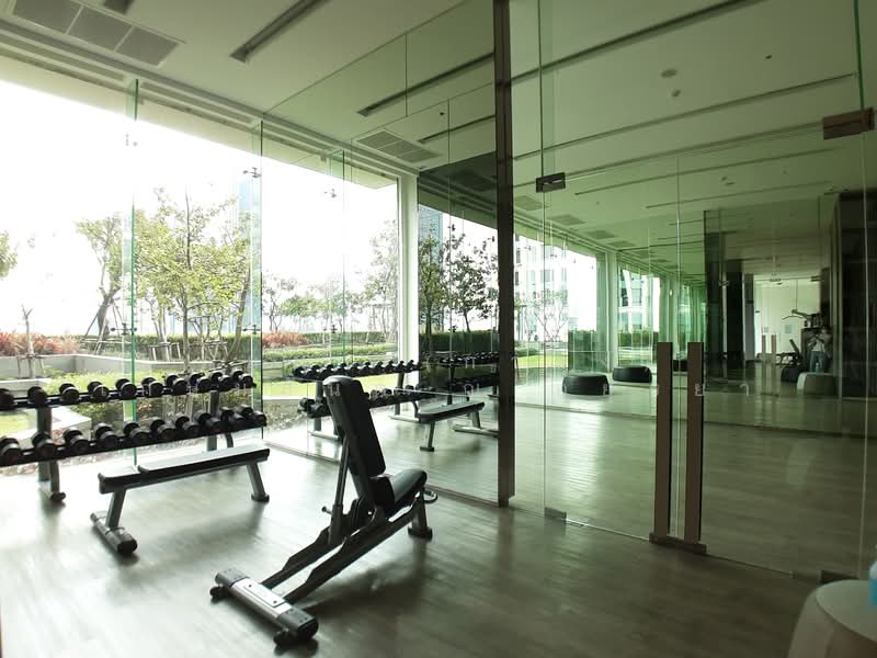 The Saint Residences Ladprao, Bangkok, 588 Vibhavadi-Rangsit Road, Jom Phon, Chatuchak, Bangkok, 1 Bedroom, 30 sqm, Condo For Rent, by Lalana (Kwang) Kashemsanta, 500183974 - DDproperty.com