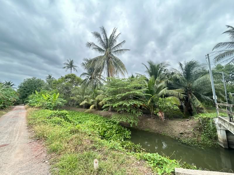 ขาย - ที่ดินปากท่อ ราชบุรี, ราชบุรี