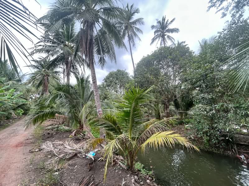 ขาย - ที่ดินปากท่อ ราชบุรี, ราชบุรี