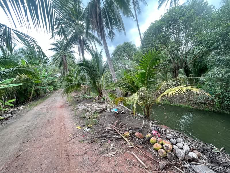 For Sale - ที่ดินปากท่อ ราชบุรี, Ratchaburi